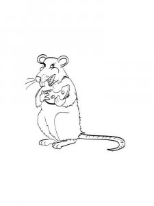 Rat coloring page - picture 13