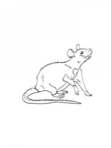 Rat coloring page - picture 19