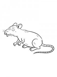 Rat coloring page - picture 6