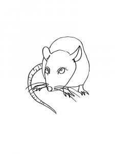 Rat coloring page - picture 7