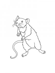 Rat coloring page - picture 8