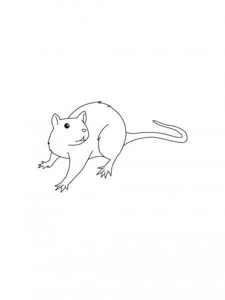 Rat coloring pages