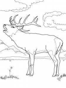 Red Deer coloring page - picture 1