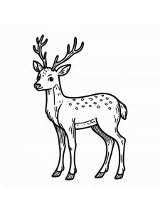 Red Deer coloring page - picture 12