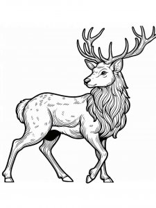 Red Deer coloring page - picture 19