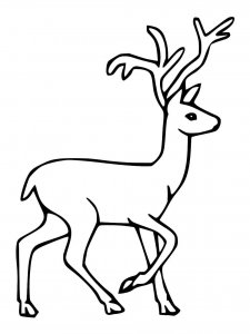 Red Deer coloring page - picture 2