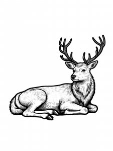 Red Deer coloring page - picture 20