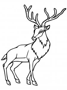 Red Deer coloring page - picture 3