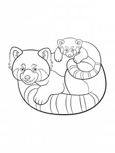 Red Panda coloring page - picture 1