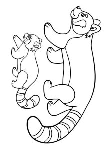 Red Panda coloring page - picture 10