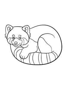 Red Panda coloring page - picture 12