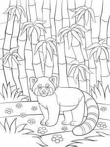 Red Panda coloring page - picture 4