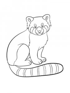 Red Panda coloring page - picture 5