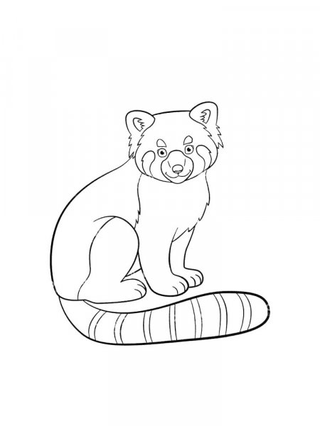 Red Panda coloring pages