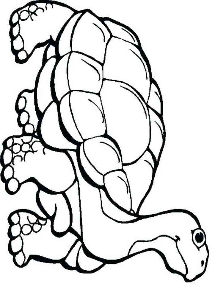 reptile-coloring-pages