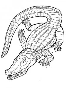 Reptile coloring page - picture 10