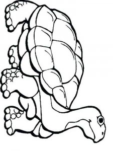 Reptile coloring page - picture 12