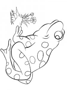 Reptile coloring page - picture 13
