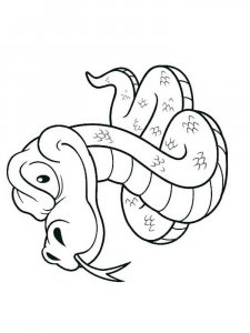 Reptile coloring page - picture 16