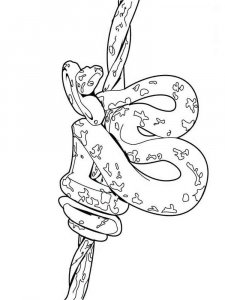 Reptile coloring page - picture 18