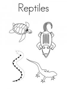 Reptile coloring page - picture 2