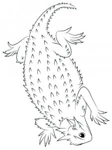 Reptile coloring page - picture 21