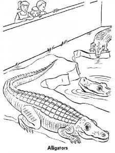 Reptile coloring page - picture 3