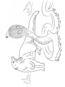 Reptile coloring page - picture 5