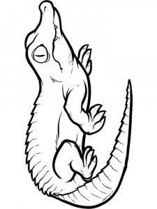Reptile coloring page - picture 6