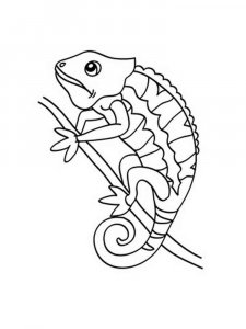 Reptile coloring page - picture 8