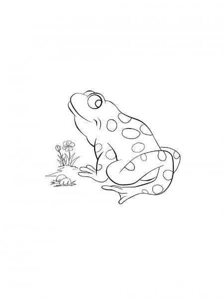 Reptile coloring pages