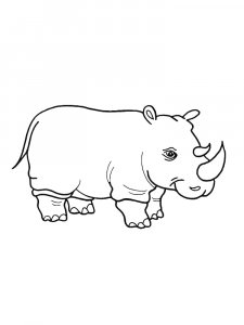Rhino Coloring Pages 1