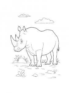Rhino Coloring Pages 14