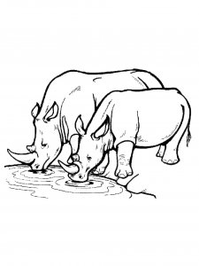 Rhino Coloring Pages 17