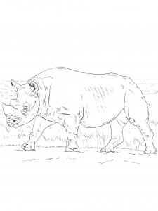 Rhino Coloring Pages 21
