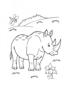 Rhino Coloring Pages 22