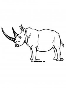Rhino Coloring Pages 24