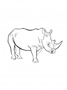 Rhino Coloring Pages 26