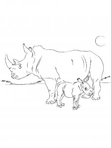 Rhino Coloring Pages 28