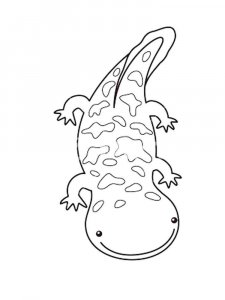 Salamander coloring page - picture 1