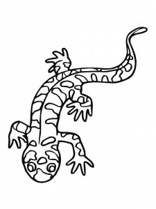 Salamander coloring page - picture 17