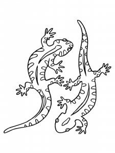 Salamander coloring page - picture 18