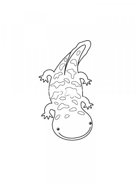 Salamander Coloring Pages