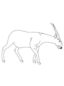 Saola coloring page - picture 1