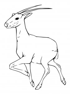 Saola coloring page - picture 3
