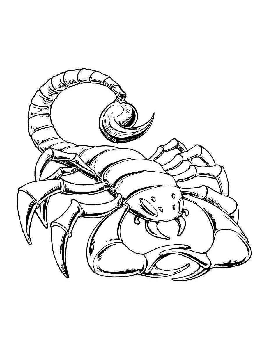 free printable scorpion coloring pages