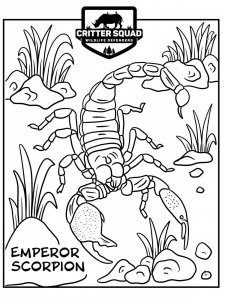 Scorpion coloring page - picture 1