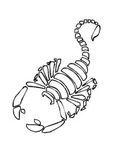 Scorpion coloring page - picture 10