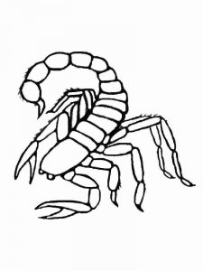 Scorpion coloring page - picture 13