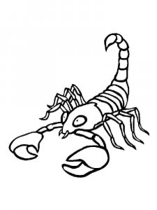 Scorpion coloring page - picture 15